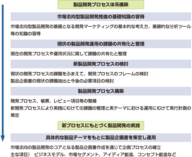 （（製品開発プロセス体系構築））　（市場志向型製品開発推進の基礎知識の習得）市場志向型製品開発の基礎となる開発マーケティングの基本的な考え方、基礎的な分析ツール等の知識の習得　（現状の製品開発運用の課題の共有化と整理）現在の開発プロセスや運用状況に関して課題の共有化と整理　（新製品開発プロセスの検討）現状の開発プロセスの課題をふまえて、開発プロセスのフレームの検討　製品企画書の現状の課題抽出と今後の必要項目の検討　（製品開発プロセス構築）開発プロセス、帳票、レビュー項目等の整備　新開発プロセスにより実践にむけての課題の整理と実テーマにおける運用にむけて実行計画の策定　（（新プロセスにもとづく製品開発の実践））　（具体的な製品テーマをもとに製品企画書を策定し運用）　市場志向の製品開発のコアとなる製品企画書作成を通じて企画プロセスの確立　主な項目）　ビジネスモデル、市場セグメント、アイディア創造、コンセプト創造など